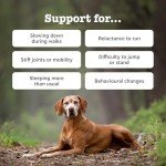 Zesty Paws Joint & Hip Chews for Dogs
