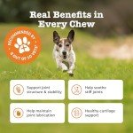 Zesty Paws Joint & Hip Chews for Dogs