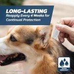 Spot-On Flea Treatment for Medium Dogs - 3 Pack