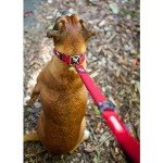 EZYDOG Zero Shock Dog Lead - Shock-Absorbing Pink