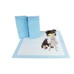 Super-Absorbent Disposable Puppy Training Pads - 100 Pack
