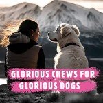 Natural Beef & Cow Tail Dog Chews - Healthy Treats