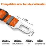 Hysami Dog Car Harness with Safety Seat Belt