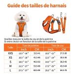 Hysami Dog Car Harness with Safety Seat Belt