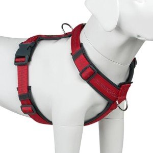 Adjustable No Pull Dog Harness with Padding - Red