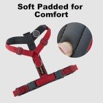 Adjustable No Pull Dog Harness with Padding - Red