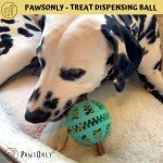 Interactive Dog Treat Toy for Mental Stimulation