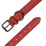 Red Leather Dog Collar - Soft, Adjustable & Strong