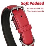 Red Leather Dog Collar - Soft, Adjustable & Strong