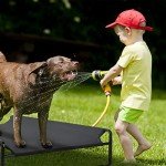 Veehoo Elevated Cooling Dog Bed for Large Breeds