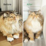 PawRake Pet Grooming Tool for Shedding and Dematting