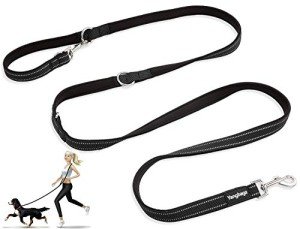 Adjustable Hands-Free Dog Leash for Active Owners