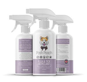 Natural Flea and Tick Spray for Dogs and Home