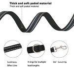 Adjustable Hands-Free Dog Leash for Active Owners