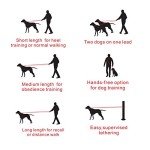 Adjustable Hands-Free Dog Leash for Active Owners