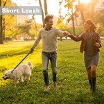 Adjustable Hands-Free Dog Leash for Active Owners
