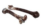 Jurassic Bone Dog Chew Toy for Aggressive Chewers