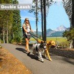 Adjustable Hands-Free Dog Leash for Active Owners