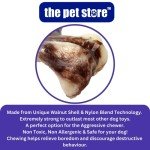 Jurassic Bone Dog Chew Toy for Aggressive Chewers