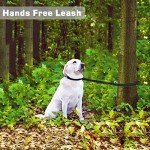 Adjustable Hands-Free Dog Leash for Active Owners