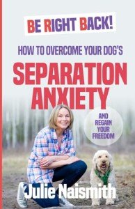 Overcome Dog Separation Anxiety for Peace of Mind