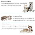 Pet Deworming Tablets for Dogs and Cats - 6 Capsules