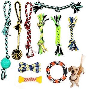 10 Durable Dog Toys for Interactive Playtime