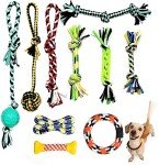 10 Durable Dog Toys for Interactive Playtime
