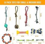 10 Durable Dog Toys for Interactive Playtime