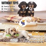 10 Durable Dog Toys for Interactive Playtime