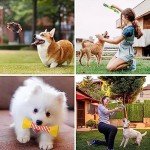 10 Durable Dog Toys for Interactive Playtime