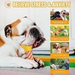 10 Durable Dog Toys for Interactive Playtime