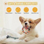 10 Durable Dog Toys for Interactive Playtime