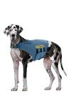 CozyVest® 3-in-1 Dog Anxiety Relief Shirt