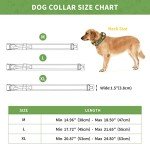 Huntvp Tactical Dog Collar with Control Handle