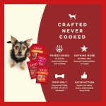 COYA Freeze-Dried Healthy Dog Treats Variety Pack