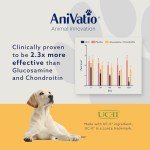 AniVatio ProJoint Soft Chews for Dog Joints