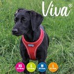 Red Padded Mesh Dog Harness for Training Medium