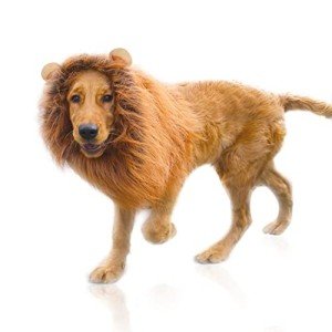 Dog Lion Mane Wig Costume with Ears