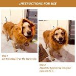 Dog Lion Mane Wig Costume with Ears