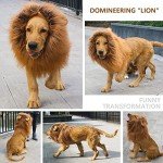 Dog Lion Mane Wig Costume with Ears