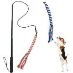 ASOCEA Extendable Flirt Pole for Interactive Dog Play