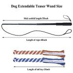 ASOCEA Extendable Flirt Pole for Interactive Dog Play