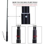 ASOCEA Extendable Flirt Pole for Interactive Dog Play