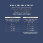 Meat Selection Jelly Food for Adult Dogs, 4.8 kg