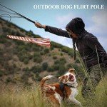 ASOCEA Extendable Flirt Pole for Interactive Dog Play