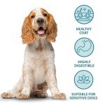 Burns Hypoallergenic Pork & Potato Dog Food 2kg