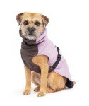 Insulated Winter Dog Coat - Adjustable Lilac Jacket