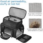 Expandable Airline-Approved Pet Carrier with Mesh Ventilation