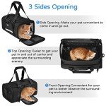 Expandable Airline-Approved Pet Carrier with Mesh Ventilation